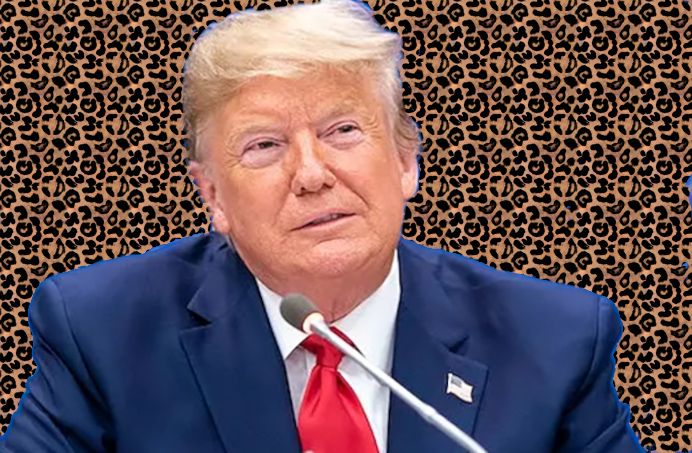 The Importance of Being Weird