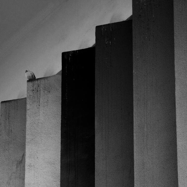 Why This Newsletter Suddenly Feels Like It’s Yelling Into Felt