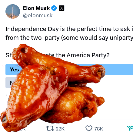Buy the Libertarians, Elon