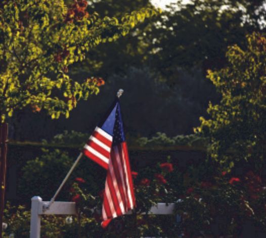 It's Our Flag too, Dammit