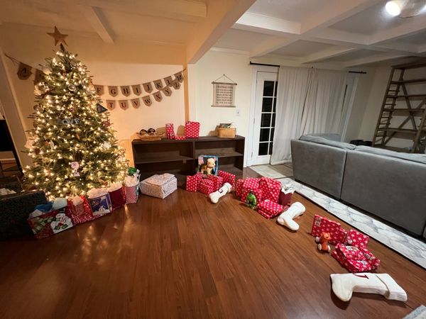 November & December 2025 + January 2026