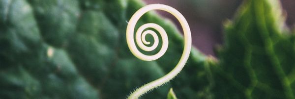 Is Religion Worth All These Religious Wars?