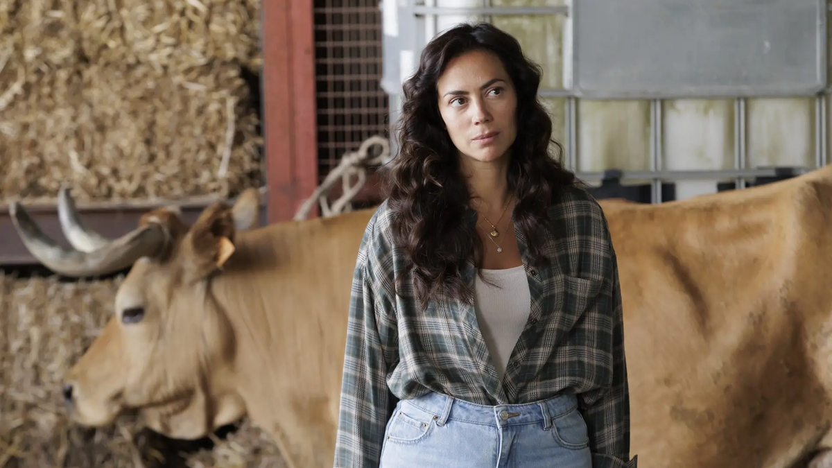 ‘Senhora do Mar’: Joana pede o divórcio a Alex e exige a guarda total da filha após o desaparecimento de Manuel