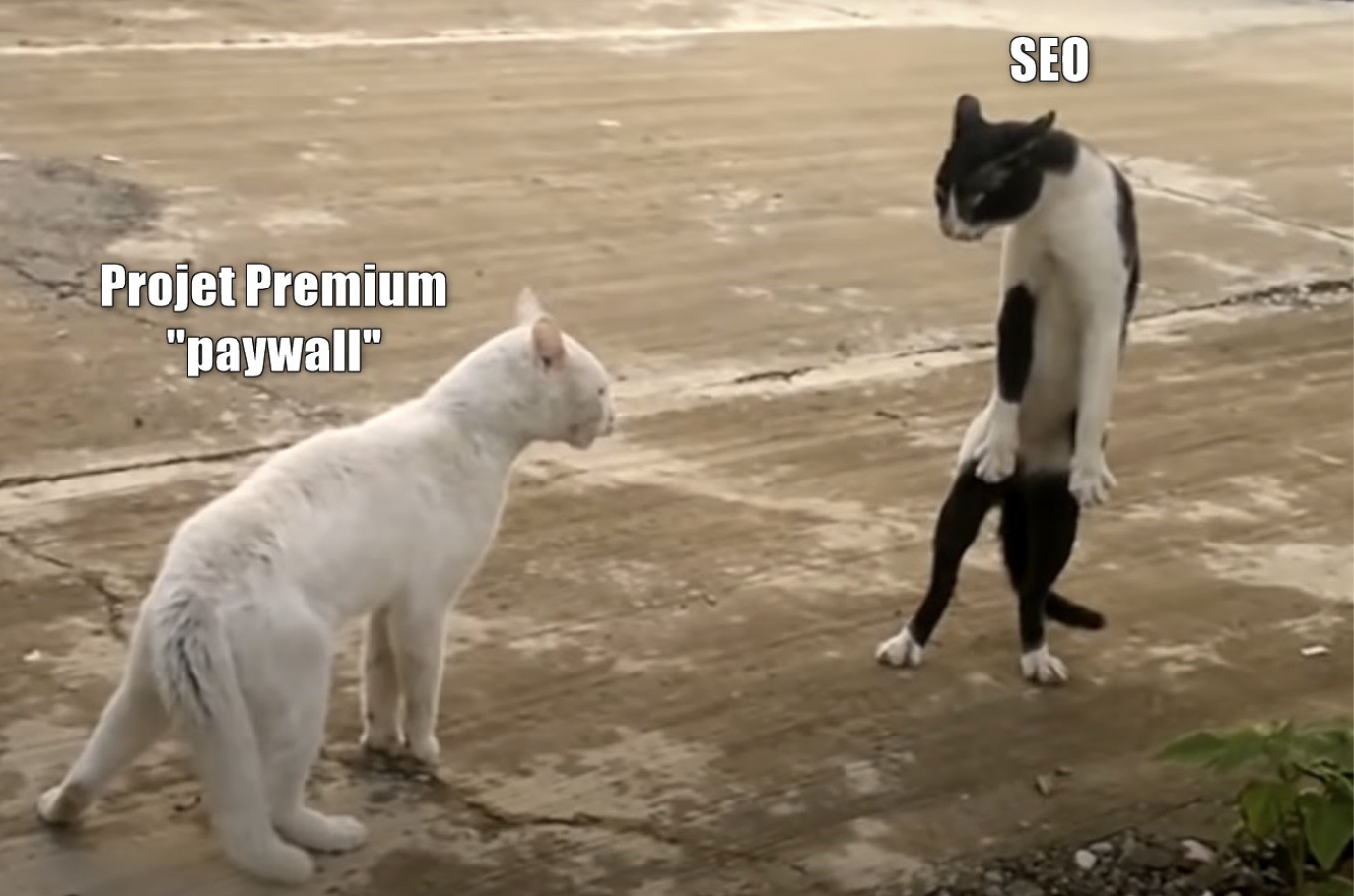 Déployer un Wall sans Mettre à Risque son SEO