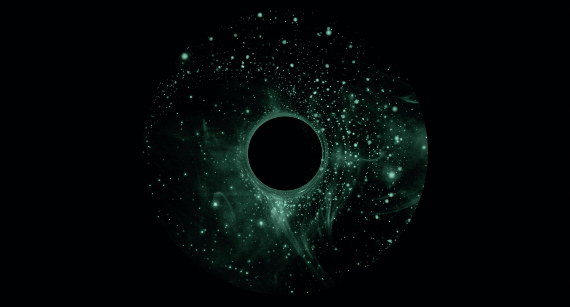 Revenue is the best north star metric