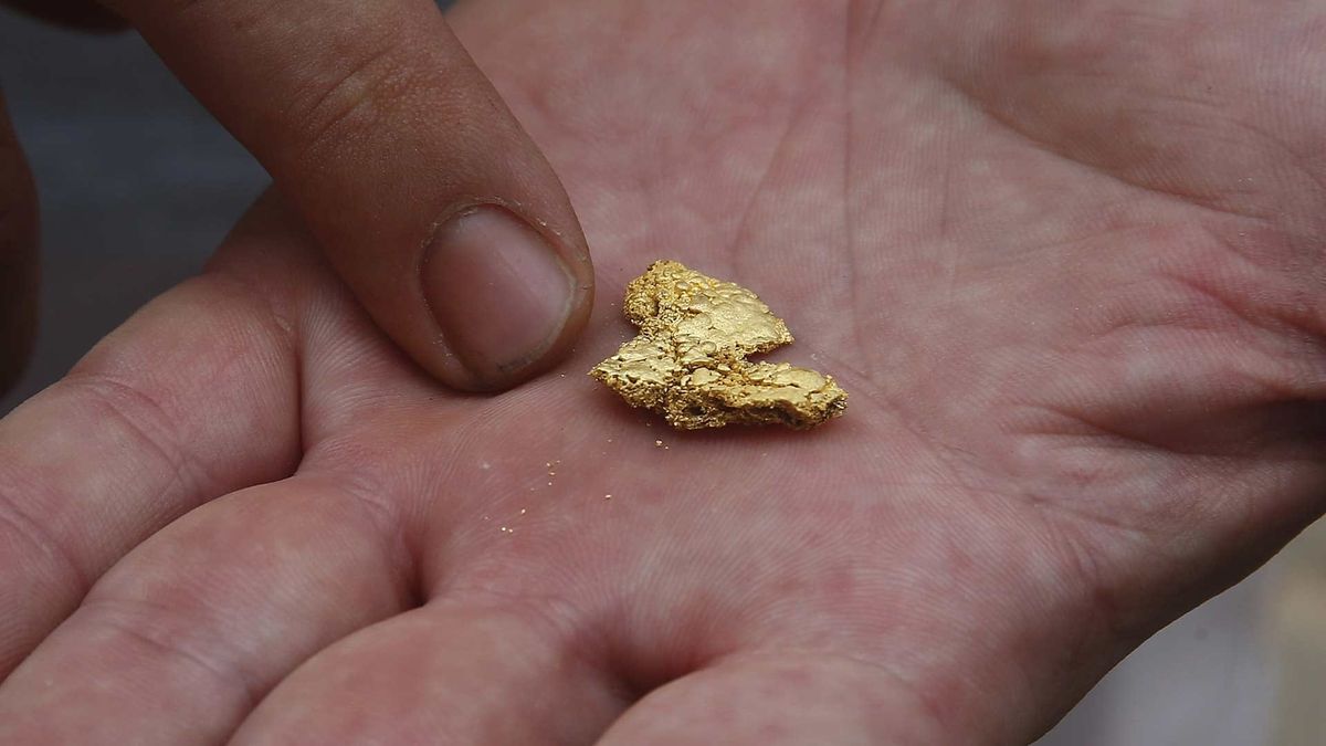 Lo que muchos botan a la basura sin saber que contiene oro puro y podría valer miles de dólares