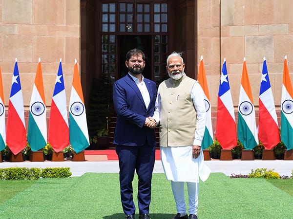 Chile apuesta por India: nueva estrategia comercial busca diversificar exportaciones