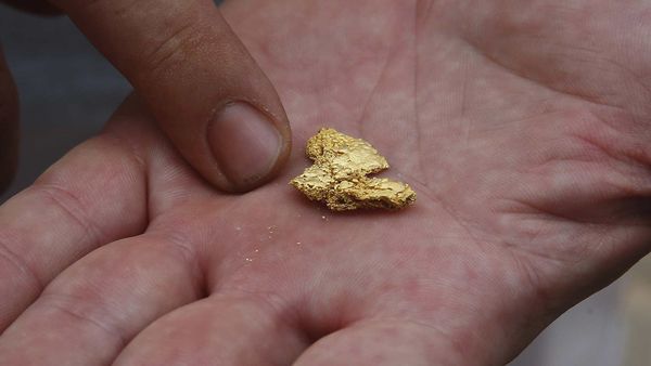 Lo que muchos botan a la basura sin saber que contiene oro puro y podría valer miles de dólares