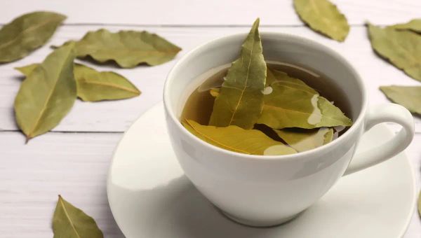Tomar té de laurel en ayunas: el remedio casero que pocos conocen y puede ayudarte más de lo que creés