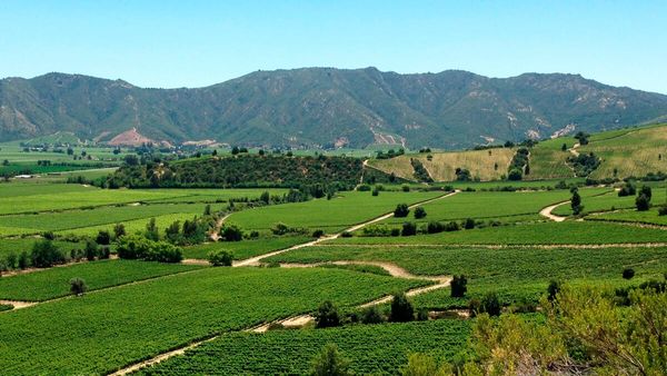 Delincuencia rural en la Región Metropolitana: homicidios aumentan mil % y preocupa expansión del crimen organizado