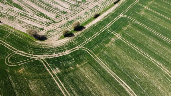 The Pathologized Soil: ADHD, Autism, and the Tightening of the Monoculture