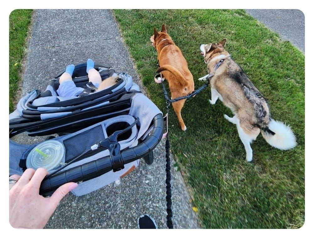 Can I get that in English, please?