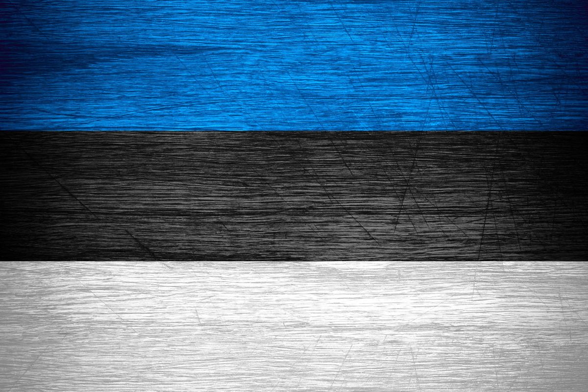 🇪🇪 Estonia: 2025 National Capability Ratings