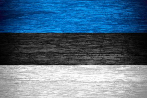 🇪🇪 Estonia: 2025 National Capability Ratings