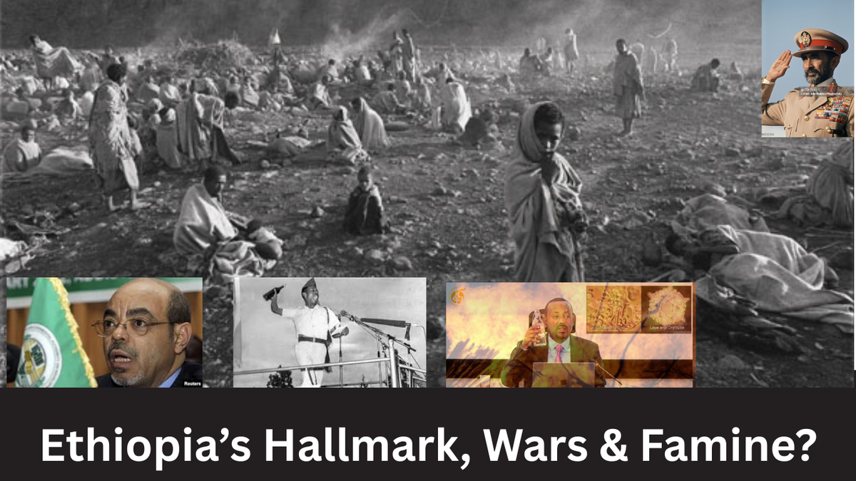 The Final Offensive: Why Eritrea Must Seize Its Moment to End the Ethiopian Threat