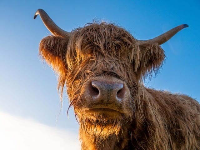 Noah’s Ark Zoo Farm introduces discounted tickets for families on Universal Credit