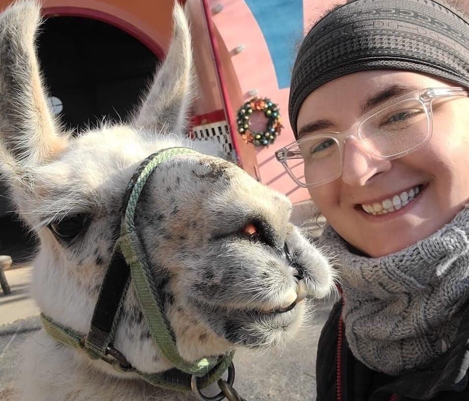 World’s Oldest Llama Ever Spends His Life Cheering Up Kids With Chronic Conditions