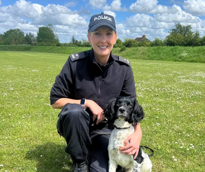 Former Rescue Dog Celebrates One Year with Wiltshire Police