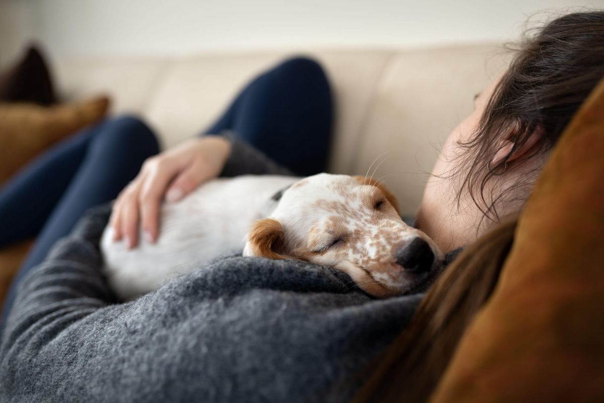 Comfort in Companionship: Pets Provide the Ultimate Stress Relief