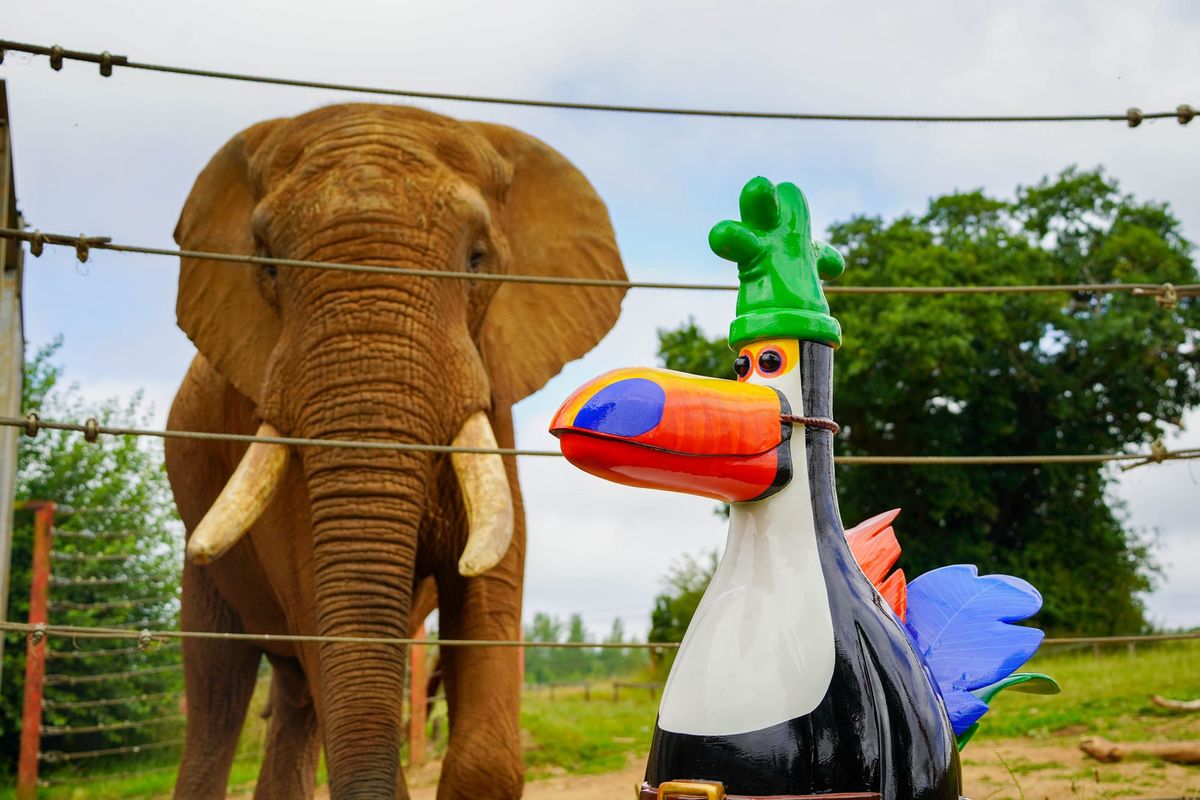 Feathers McGraw Hits the Beach at Noah’s Ark Zoo Farm
