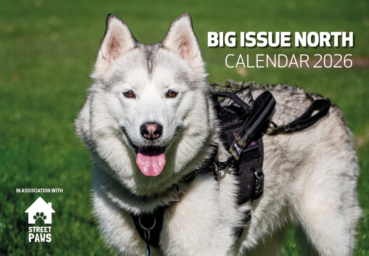 Paws for Support: Big Issue North Launches 2026 Calendar