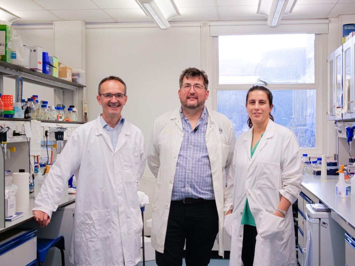 New Antibiotic for Drug-Resistant Bacteria Found Hiding in Plain Sight