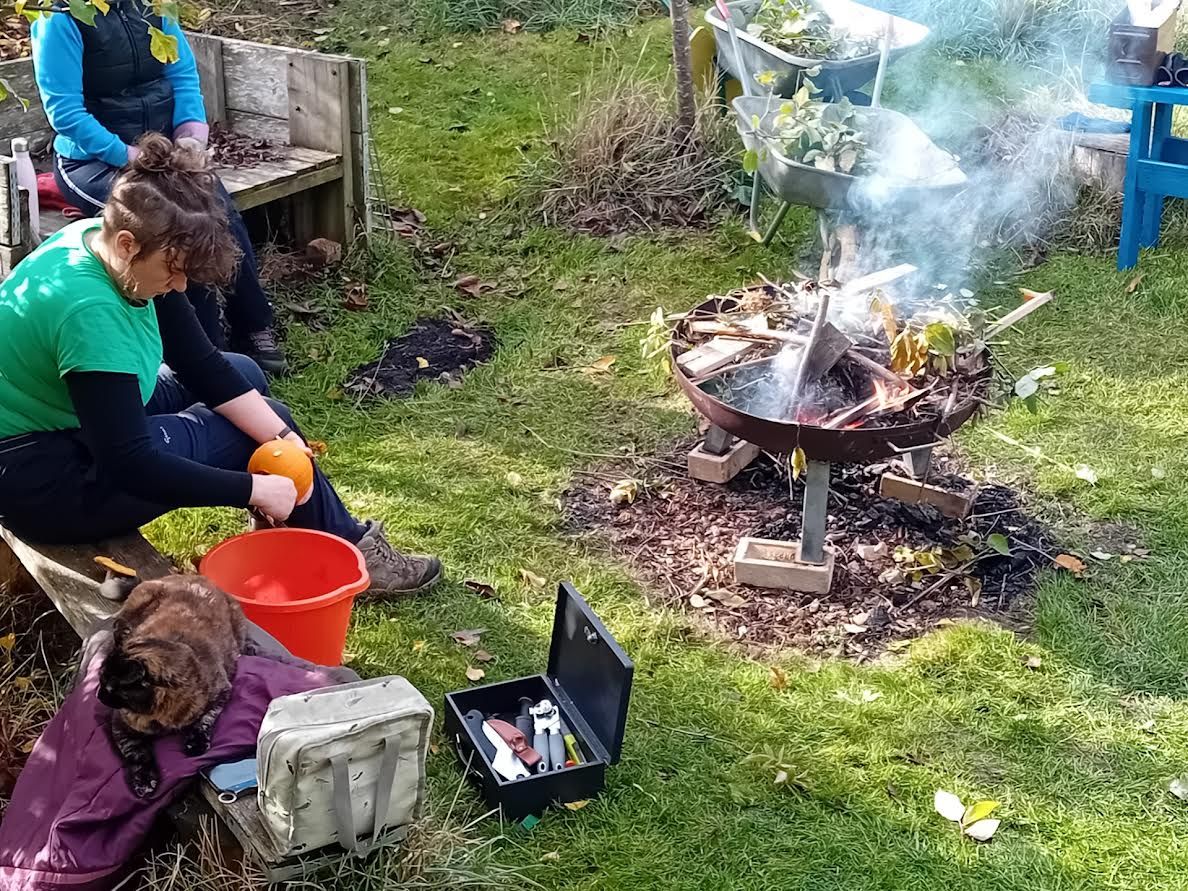 Cambridge Cyrenians’ Allotment Offers Lifeline and Community for People Facing Homelessness