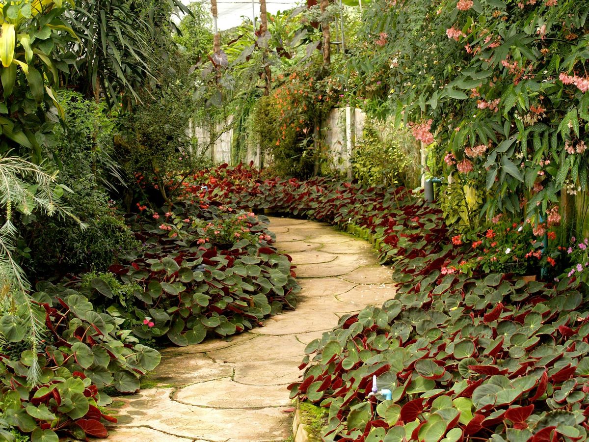 YoungMinds to Create First-Ever Garden at RHS Chelsea Flower Show 2026