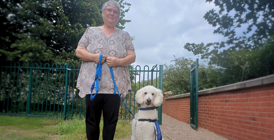 Crufts Champion’s Great-Grandpup Becomes Lifeline for Stroke Survivor