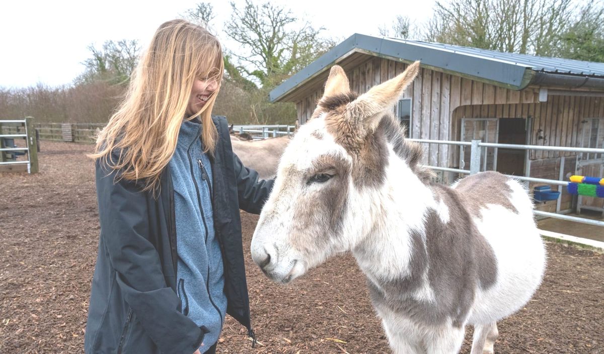 Hearts Stolen in Sidmouth: Vet Students Meet the Donkeys
