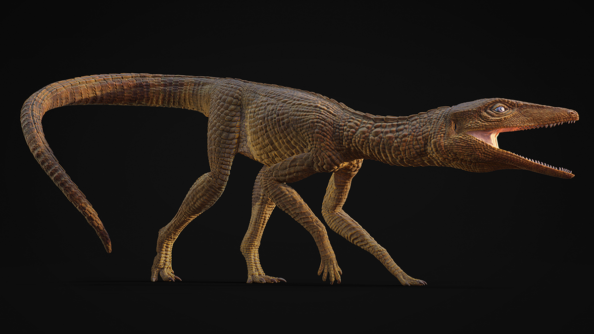 New Species of Ancient Crocodile Named in Honour of Welsh School Teacher