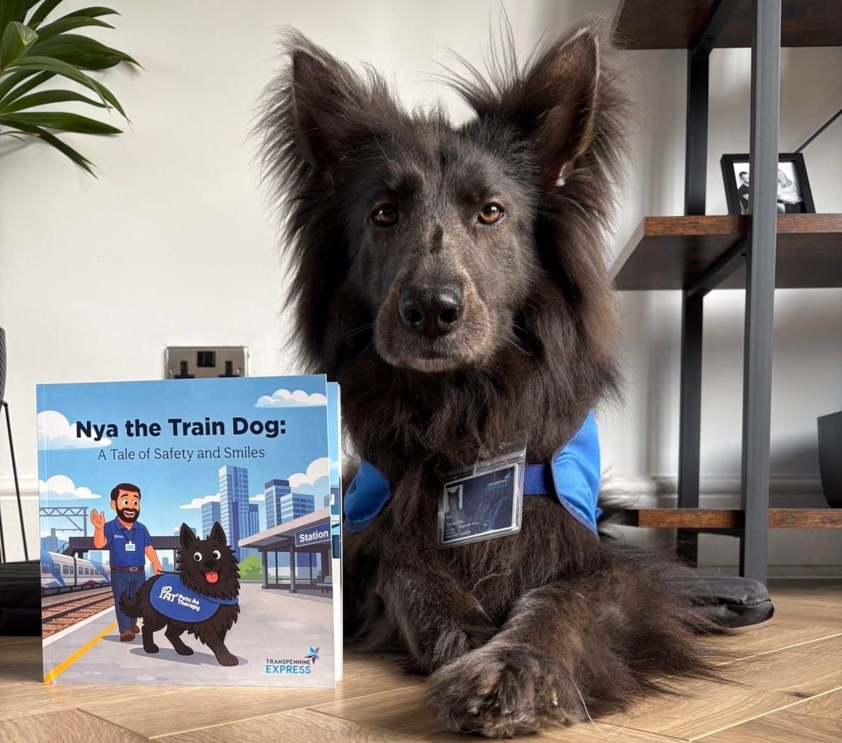 Railway Therapy Dog Nya Stars in New Children’s Book to Help Young Passengers Stay Safe