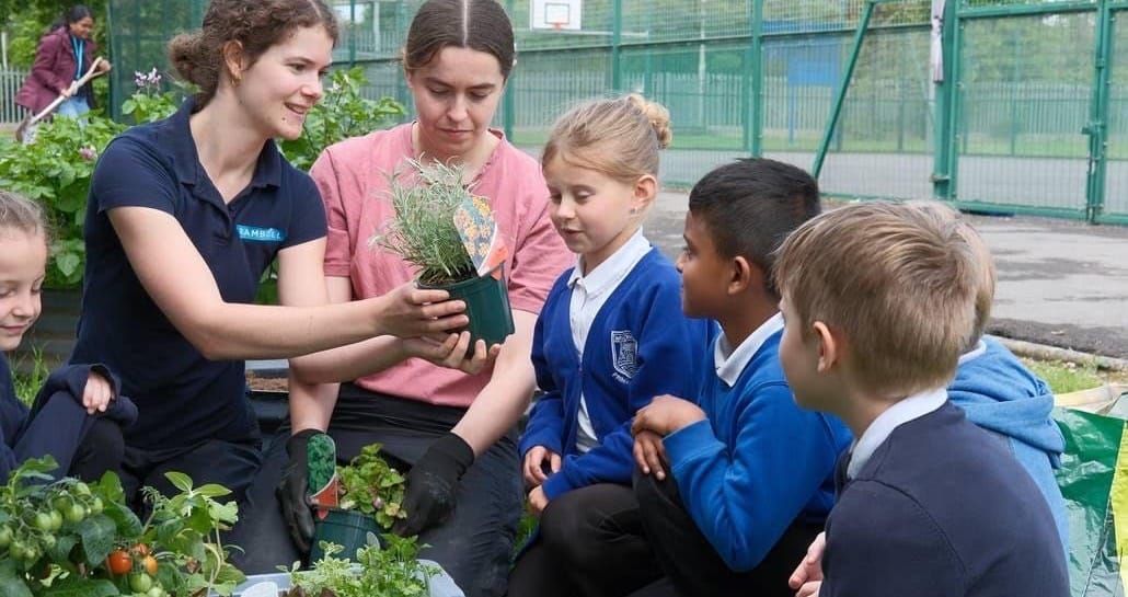 Windwhistle Primary Pupils Get Hands-On Gardening Experience thanks to Winterstoke Road Bridge Team