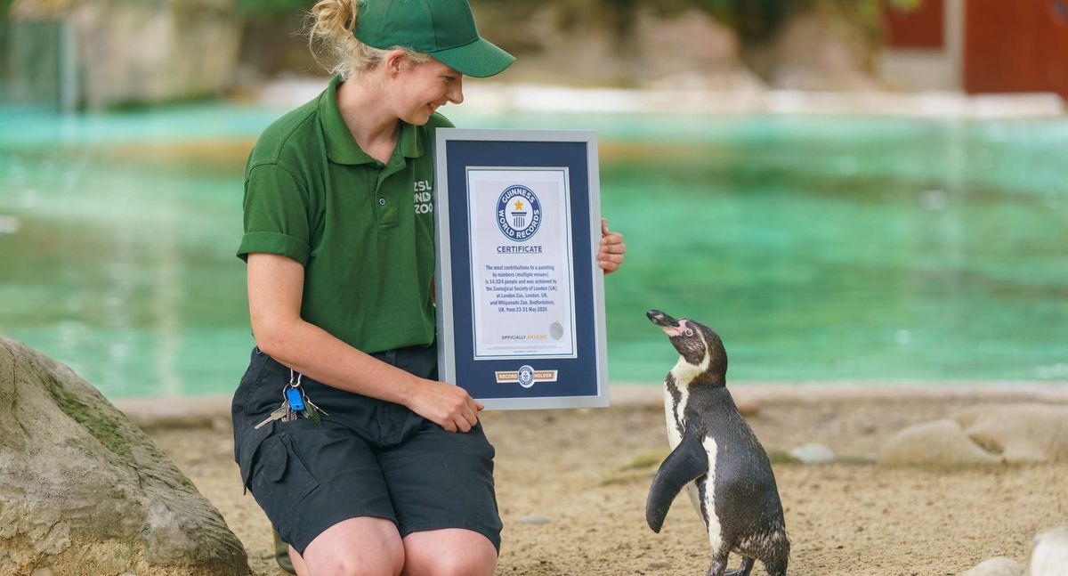 London Zoo Breaks Guinness World Record with Giant Community Wildlife Artwork