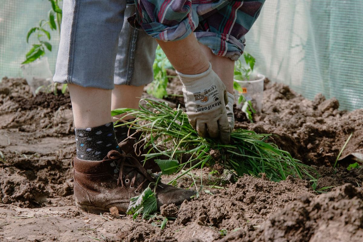 Volunteers Help Improve Sensory Nature Space at Swansea Resource Centre
