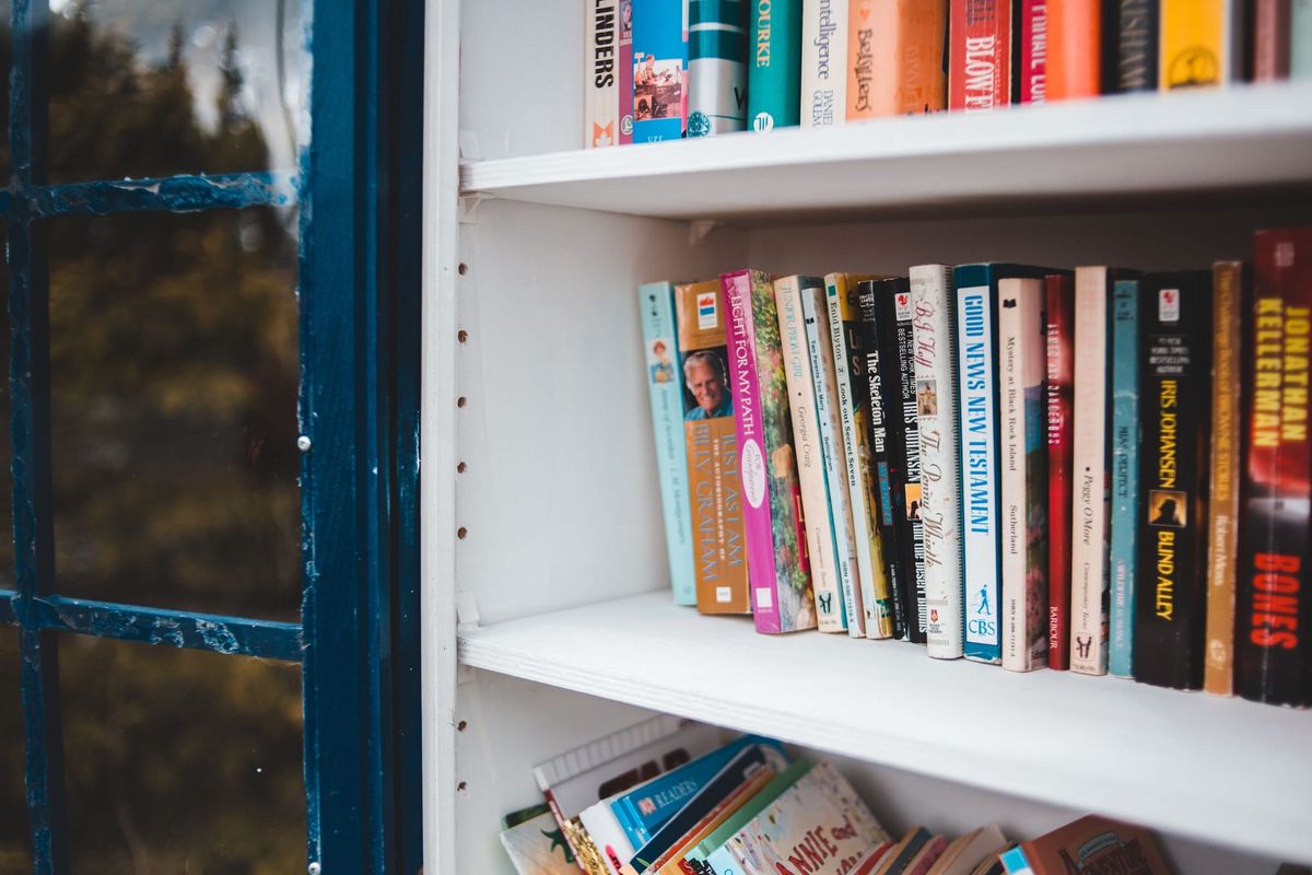North Somerset’s Electric Library Van ‘Molly’ Boosts Access With Record Outreach Success