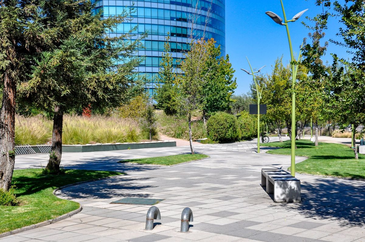 Urban Parks Shown to Cool Cities and Reduce Pollution Beyond Their Boundaries, Study Finds