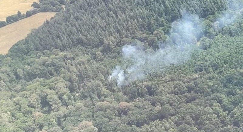 Volunteer Pilots Help Spot Wildfires Early During UK Heatwave