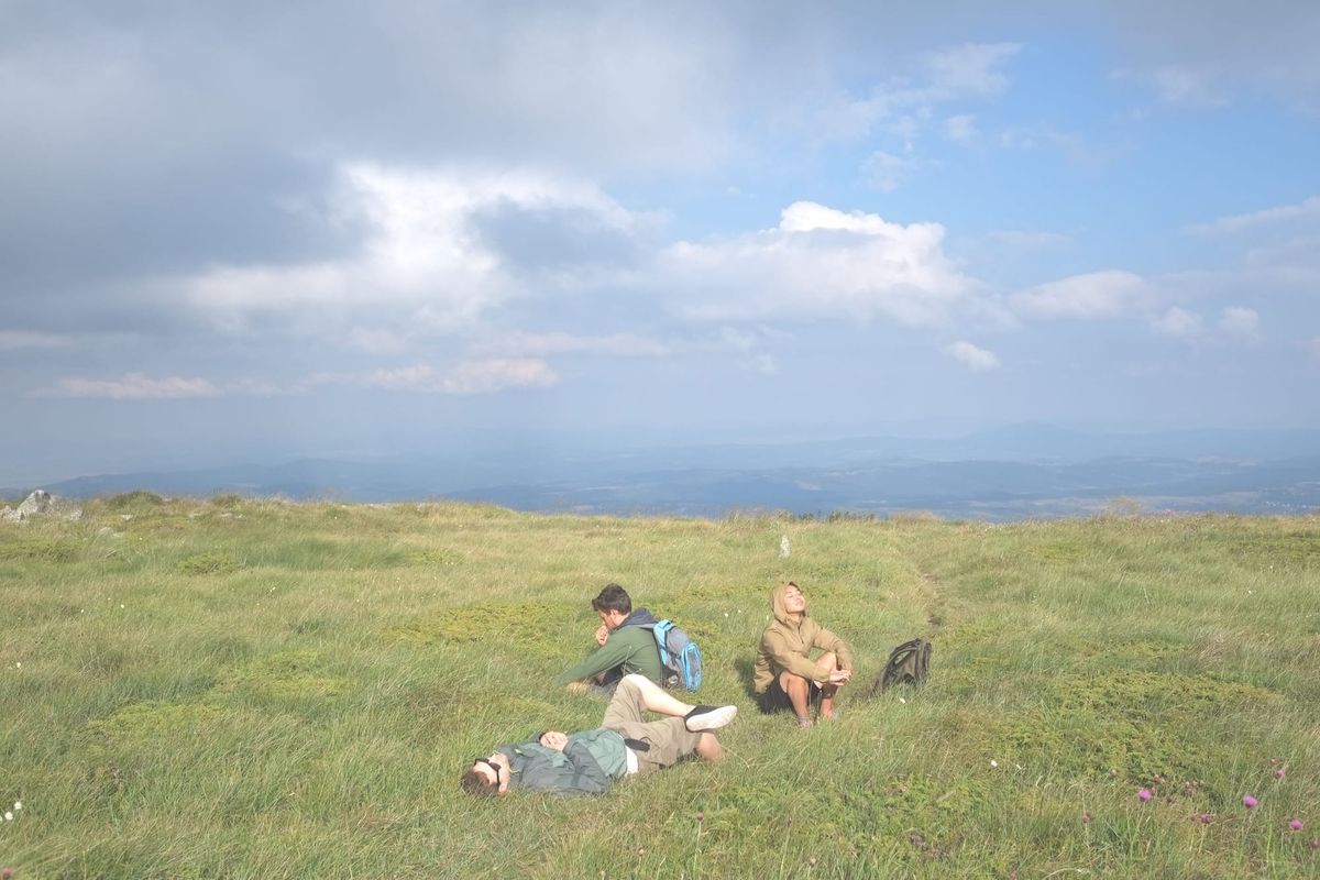 People Invited to Join Britain's First Mass Nature Bathing Event at Somerset Rewilding Site