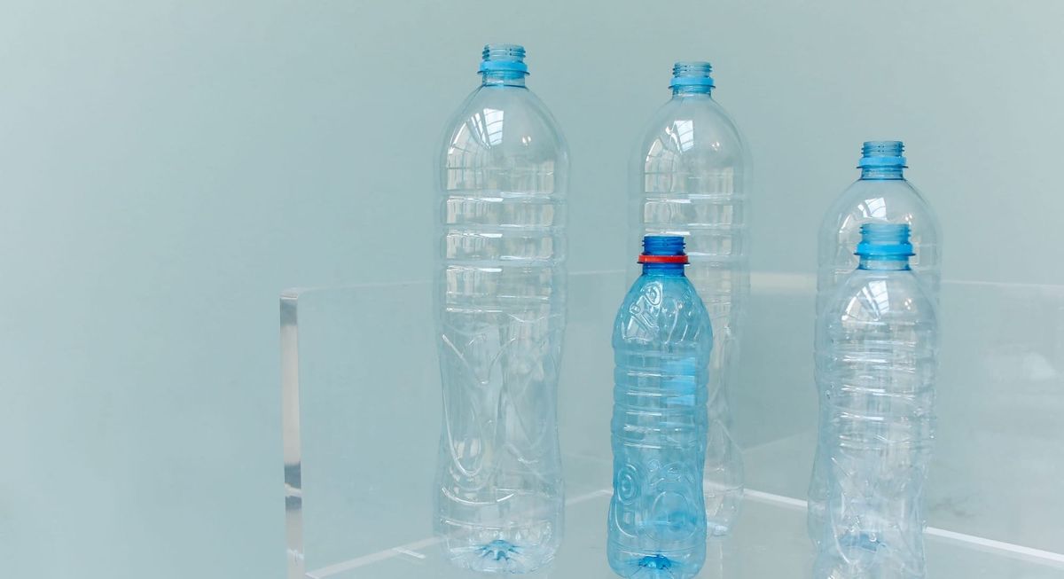 Plastic Bottles on Fishing Nets Cut Dolphin Bycatch by 88%, Study Finds