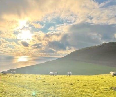 Young people discover how nature can boost mental wellbeing