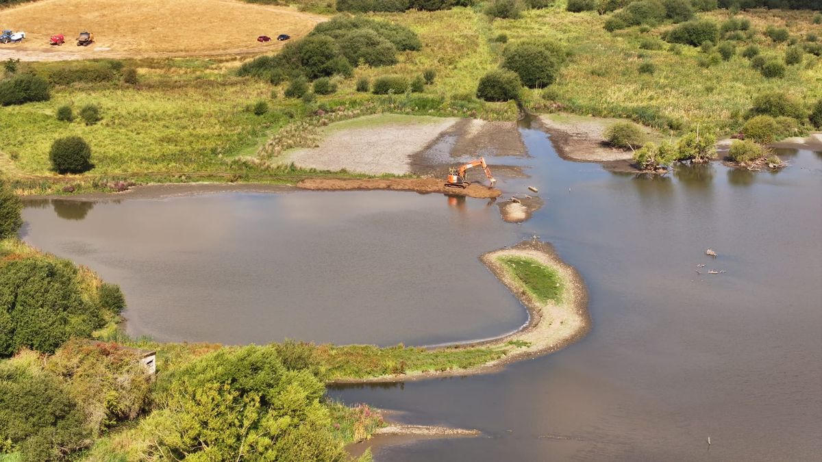El Niño is coming – but nature could help