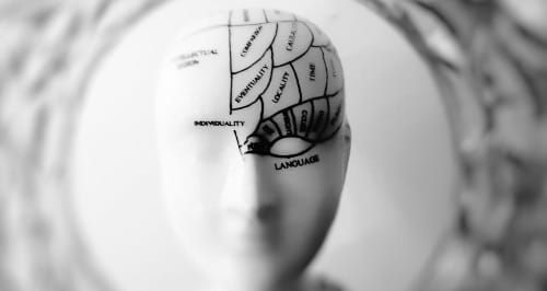 Language skills stay strong in older adults, even while other cognitive abilities decline
