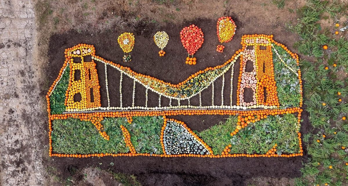 From elephant poo to a pumpkin bridge: Noah’s Ark harvest gets creative