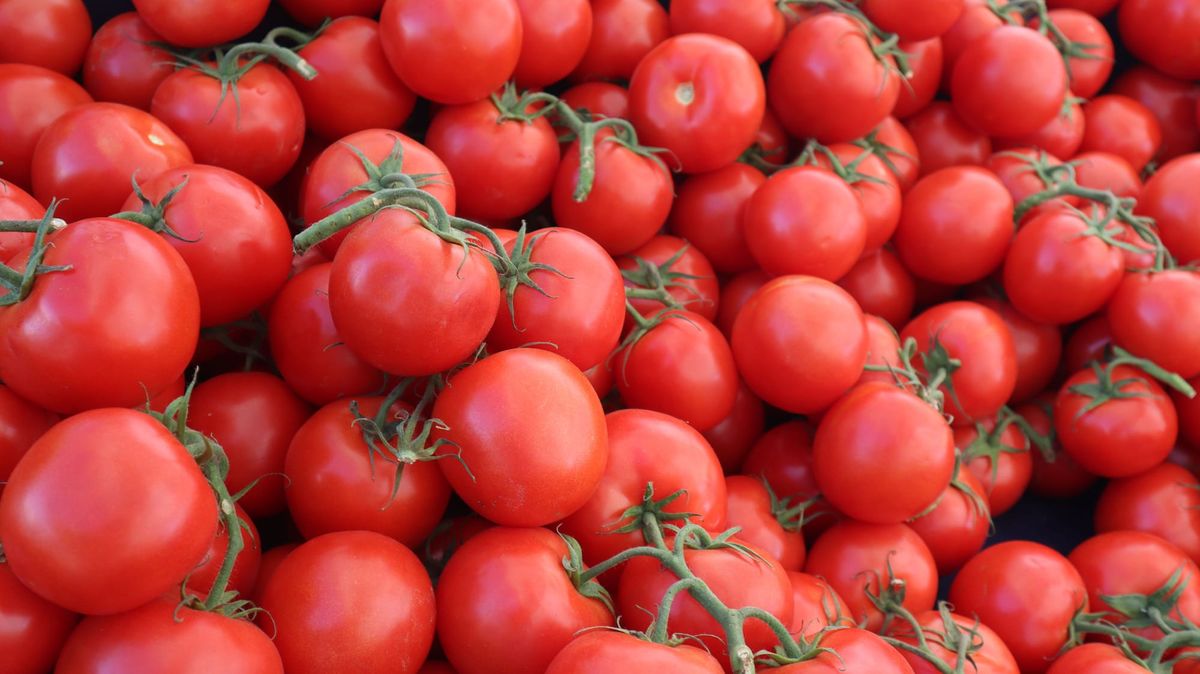 Compost-grown tomatoes could make supermarket fruit taste sweeter