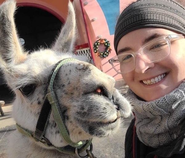 World’s Oldest Llama Ever Spends His Life Cheering Up Kids With Chronic Conditions