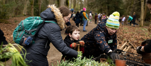 Spring’s On The Way! 1 Millionth Snowdrop Planted by Visitors at The National Trust’s Wallington Estate, Completing 10-year Project