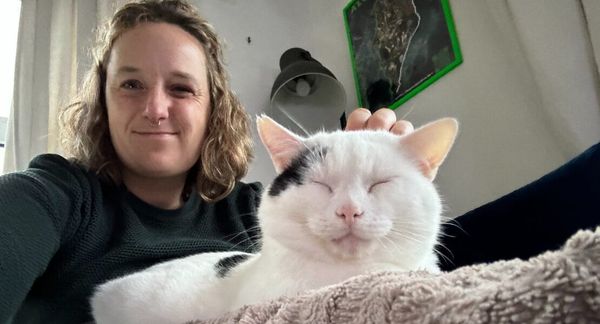 Mr. Biscuit's Story: From Loneliness To Love At Last