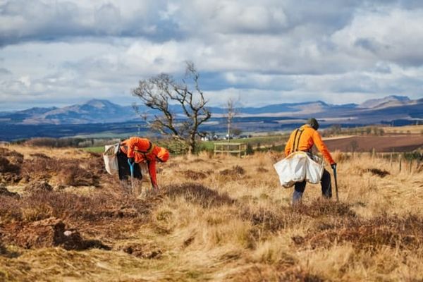 First Trees Planted on Hillsides as Major Climate Project Takes Root