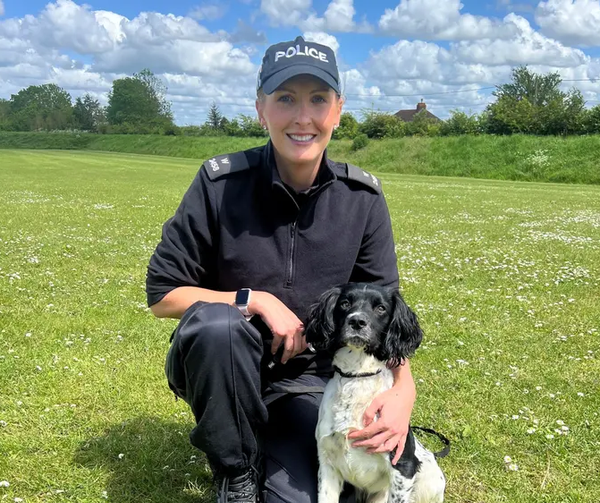 Former Rescue Dog Celebrates One Year with Wiltshire Police